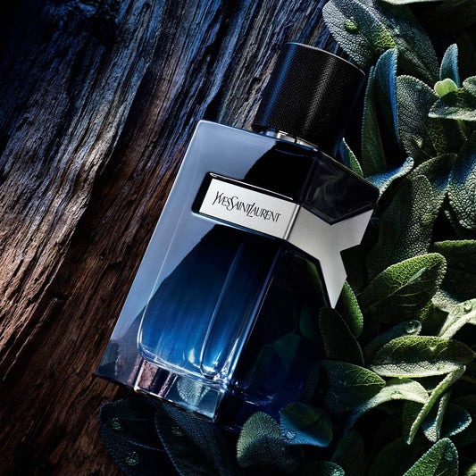YSL Y eau de parfum 100 ml (3.4 oz)